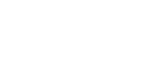 BOUTIQUE PIZZA